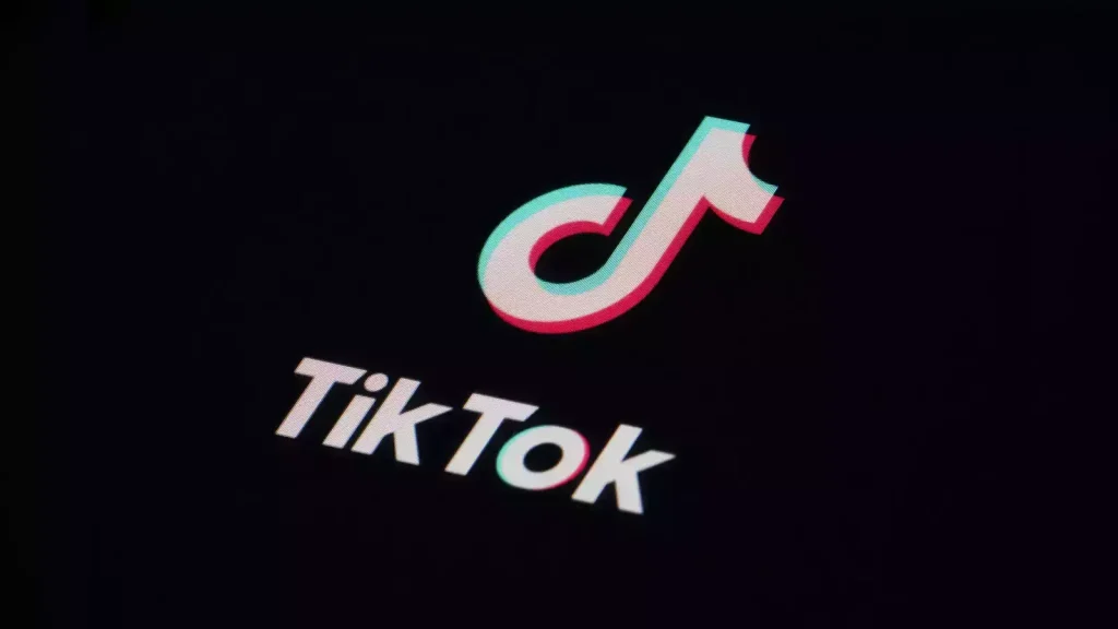 Download TikTok Videos